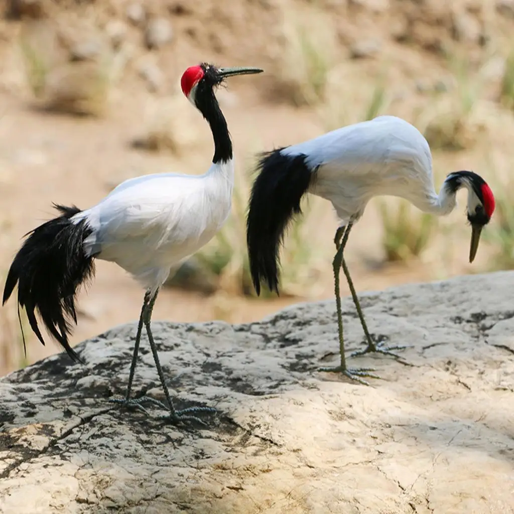 Artificial Red-crowned Crane Birds Figurine Realistic Home Garden Decoration