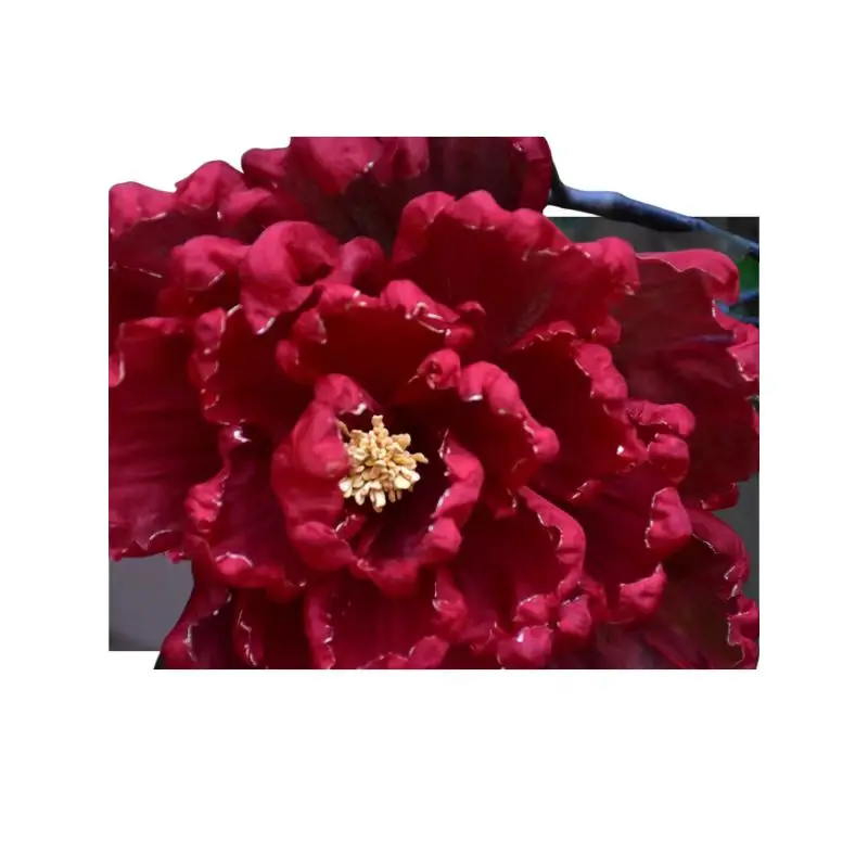 Hair Accessories Women's Silk Hot Printed Pattern Red Flower Lady Picture Series Tang Style Oversized Plant Flower Peony21cm 1Pc