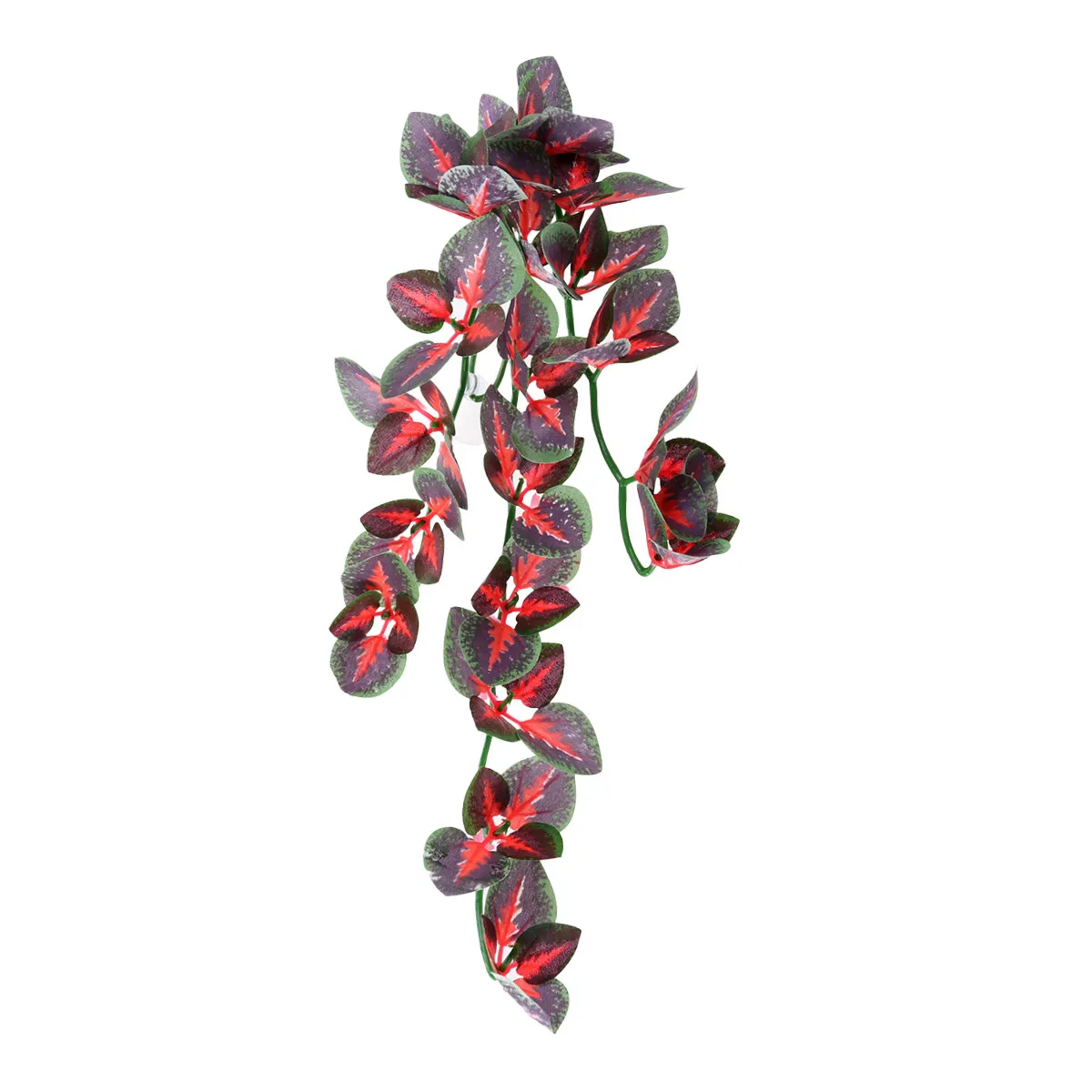 زينة حوض السمك، نباتات مائية ا - مراجعة Aquarium Plant Red وسعره