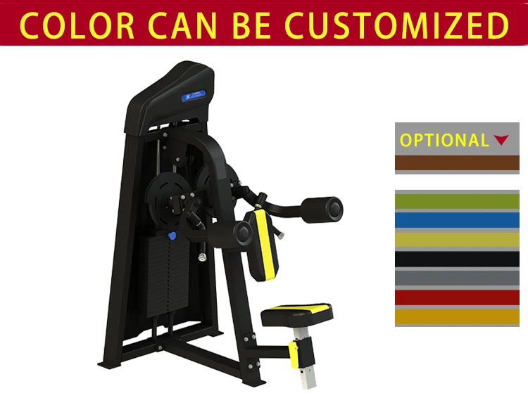 Indoor Gym Pin Loaded Lateral Raise for Exercise and Body Building Training Manufactured by Reputable Brand