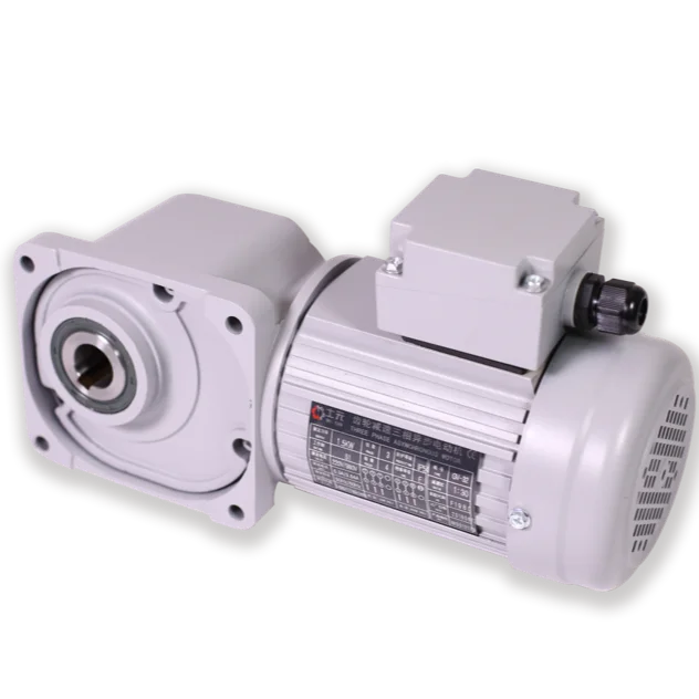 

High Torque Good Quality Hypoid Geared Right Angle SGF AC Gear Motor
