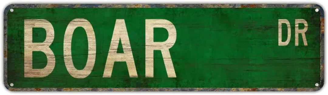 Vintage Decor Wall Signs Boar Boar Gift Boar Sign Boar Decor Boar Expert Boar Tin Metal Street Sign Lane Avenue Street Way Green