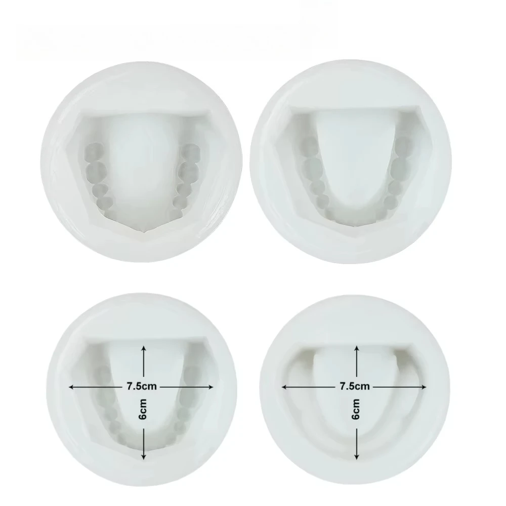 2pc/set Silicone Dental Plaster Model Mold Mould Standard Teeth Mold Molding Kit Of Edentulous Jaw Complete Cavity Block
