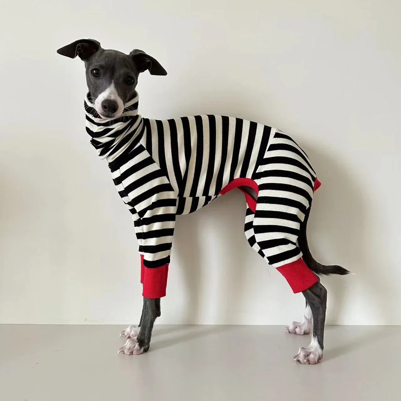 

Italian greyhound striped four-legged clothing soft stretchy whippet clothing winter warm dog clothing