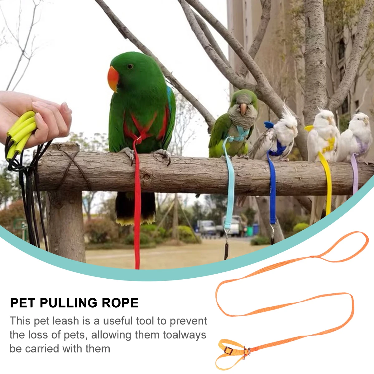 

Pet Leash Bird Tow Rope Hamster Turtle Pulling Rabbit Breathable Polyester Supplies