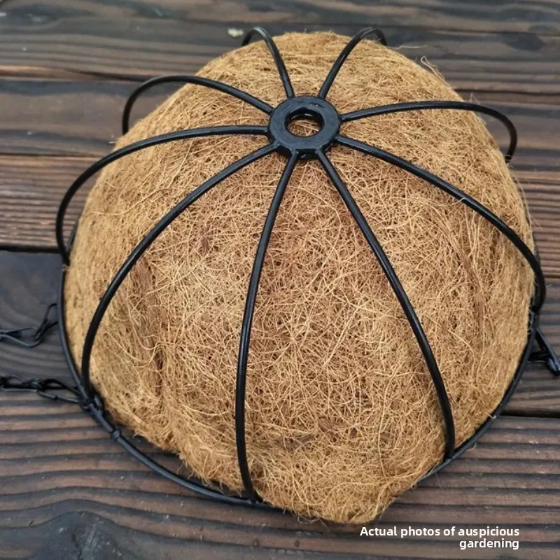 Coconut Palm Hanging Basket, Natural Hanging Basket for Garden, Eco-Friendly Hanging Coconut Shell Planter, Floral Garden Pot