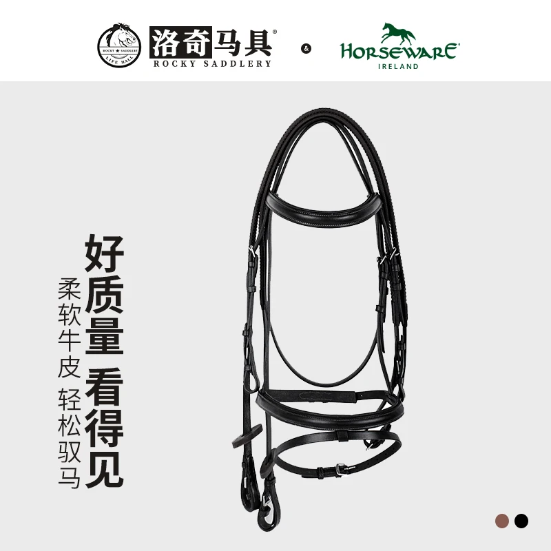 

English Halter and Bridle, All Leather, Horse Equipment, Riding Equipment, 8218059