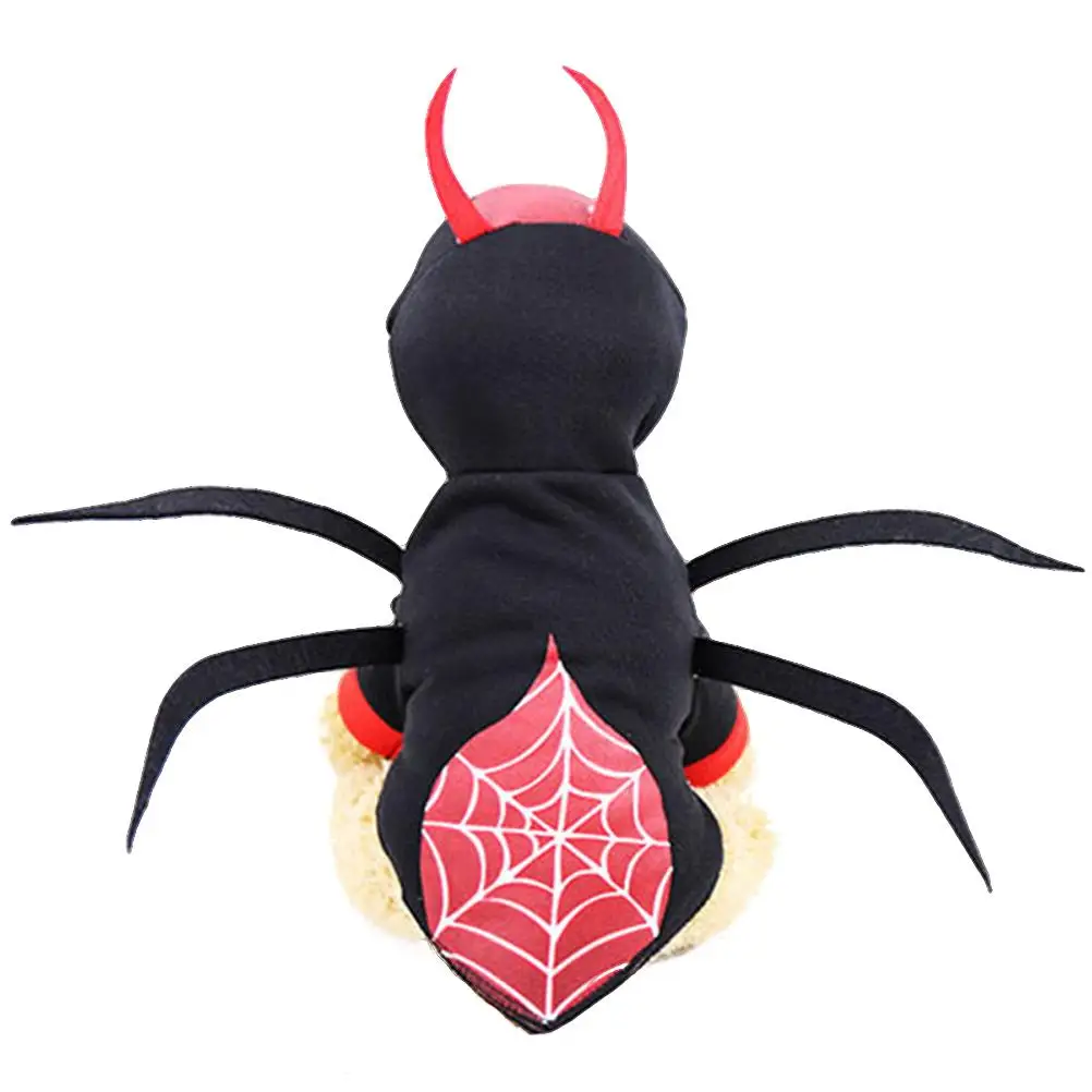 

Spider Transformation Clothes Outfits Party Clothing Cute Halloween Costumes