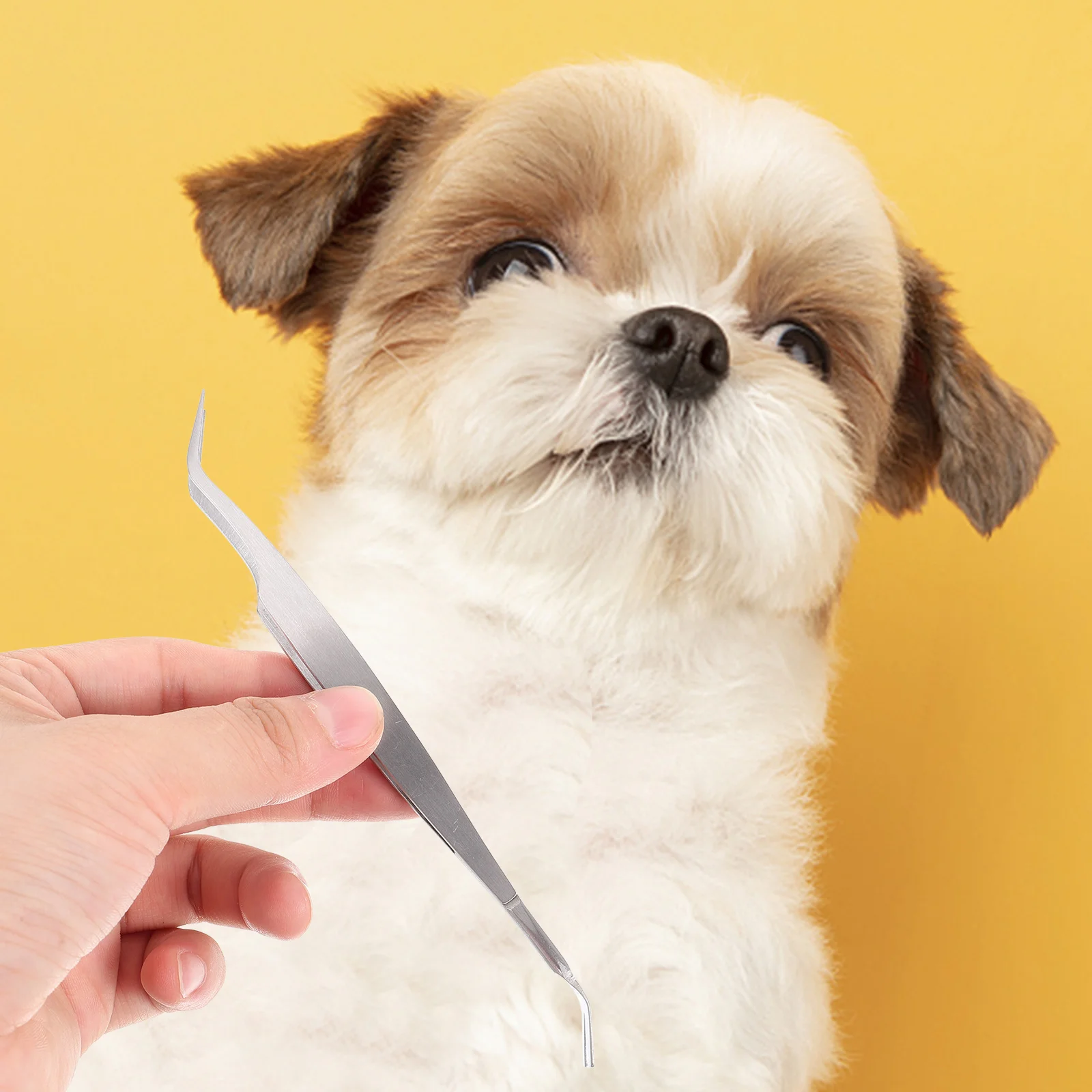 

Pet Steel Tweezer For Dog Pet Black Treatment Tool for Cats Dogs Removal Tool Kit