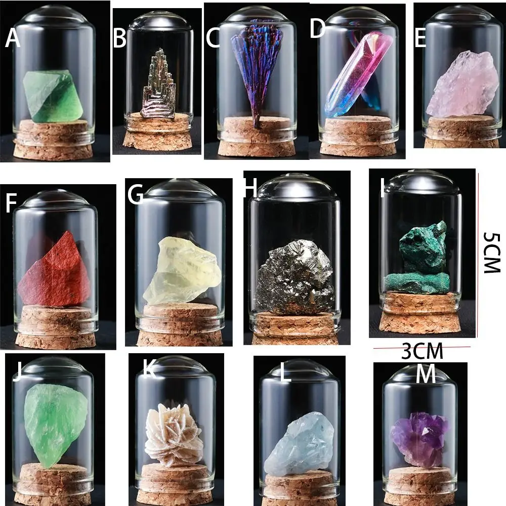 Natural Raw Stone Crystal Mineral Glass Display Jar Specimen Collections Children Popular Science Teaching Tool Gift Home Decor