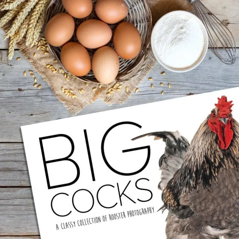 Funny 2025 Big Cocks Calendar Vibrant Wildlife Big Cocks Calendar 2025 Wall-hanging  Calendar For Animal Enthusiasts