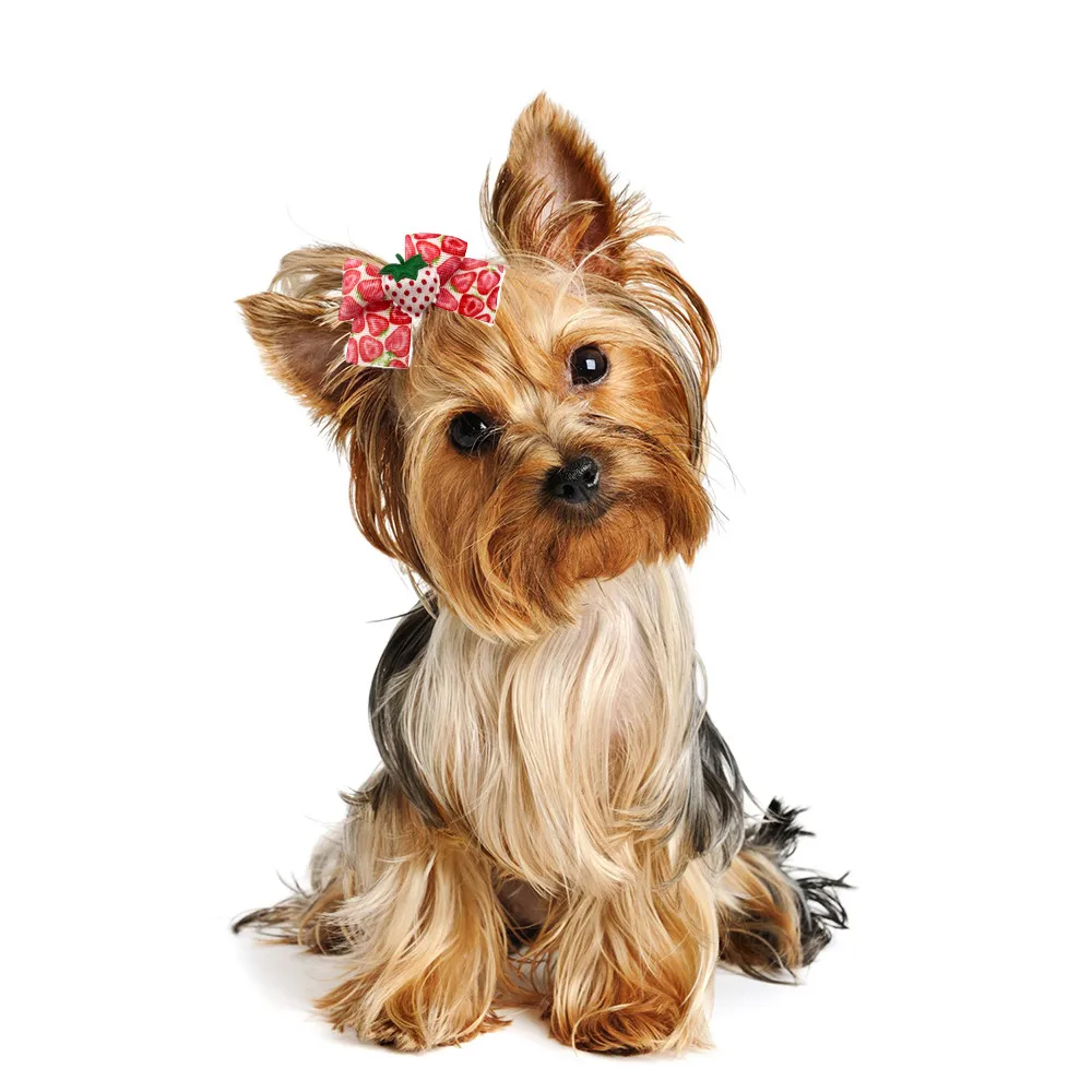 50/100PCS Pet Dog Bows Strawberry Pattern Pet Supplies Pet Dog Hiar Accessories Small Dog Hair Bows Rubber Bands Pet Dog Bows