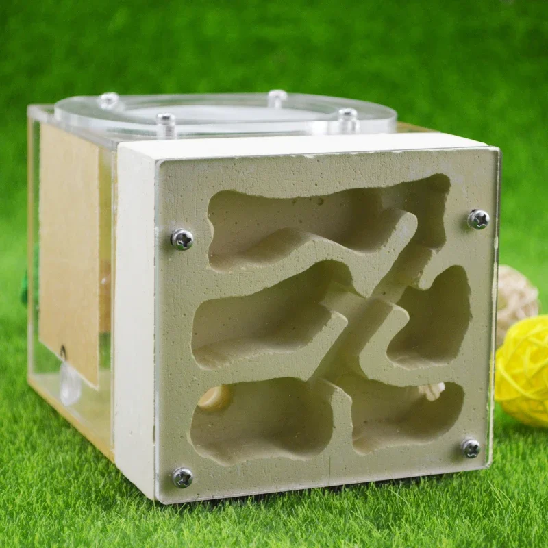 Ecological Breeding Ant Nest Backyard Three-dimensional Gypsum Enclosed Design