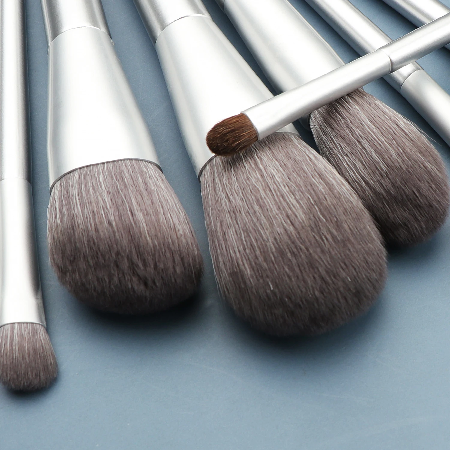8Pcs Makeup Brush Set with Brush Holder, Powder Blush Fan Highlight Eyeshadow Brushes for Face Eye Makeup