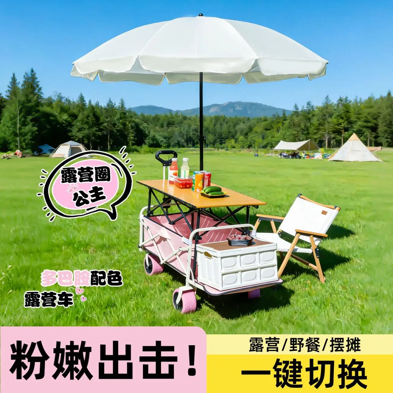 

Уличная чугунная дровяная печь-камин с трехсторонним стеклом и газовым обогревателем