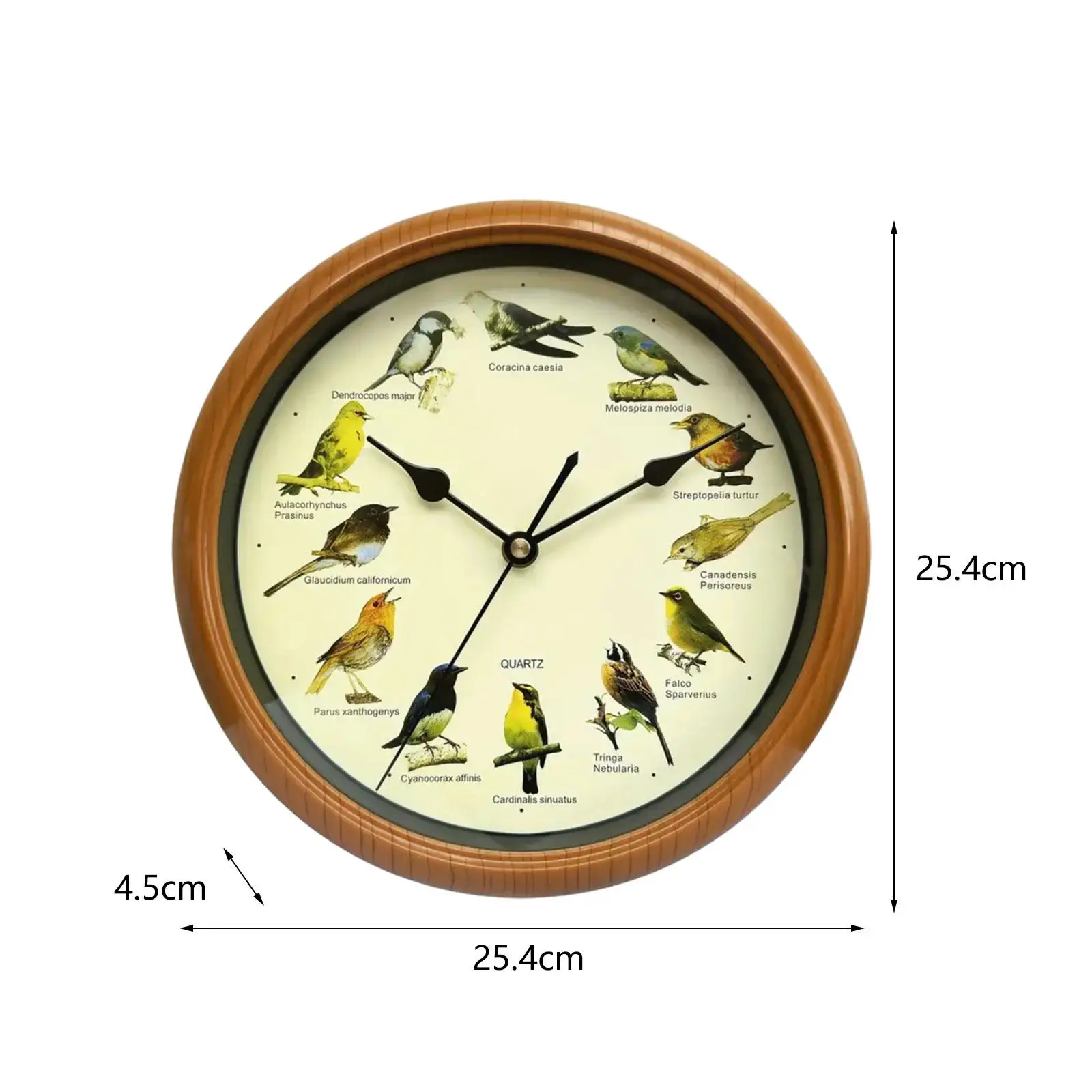 Horloge Murale Minimaliste en Forme d'Oiseau, Silays euse qui Chante à l'Heure, avec Son, pour Cuisine, Chambre à Coucher, Salon, Bureau, Décoration