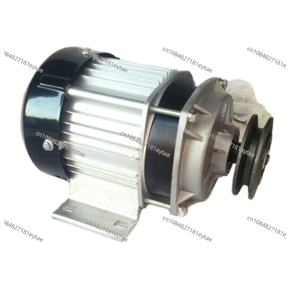 BM1418ZXF 48V 60V 750W Brushless DC Gear Motor with Belt Pulley BLDC Permanent Magnet