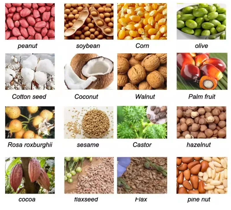 آلة ضغط زيت بذور القطن وصامولة الفلتر في جنوب أفريقيا