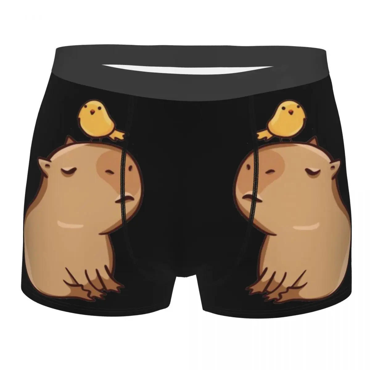 Pelican And Capybara Men Underpants, Highly Breathable printing High Quality Gift Idea