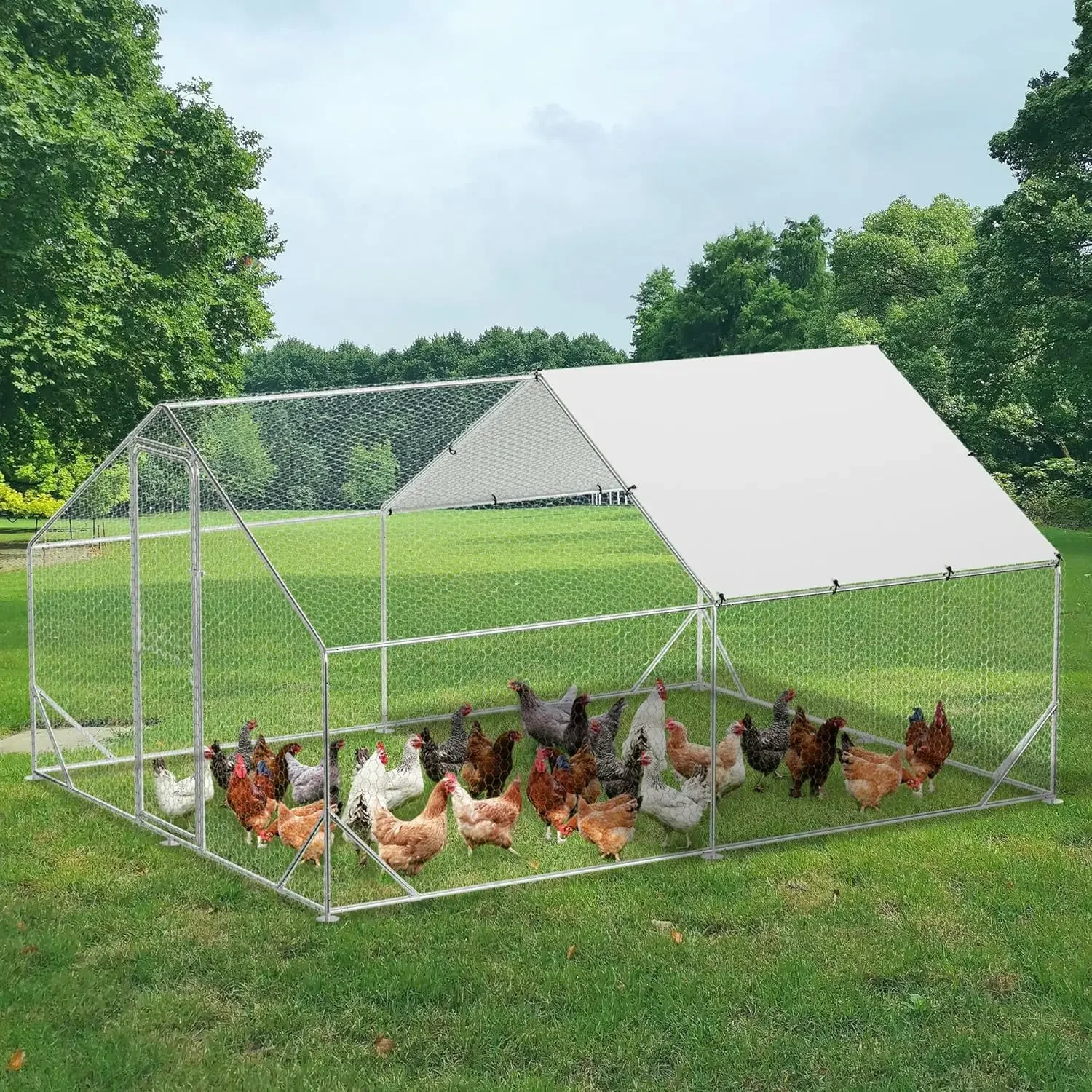 

Large Walk In Metal Chicken Coop Run Poultry Cage House Outdoor Backyard Farm