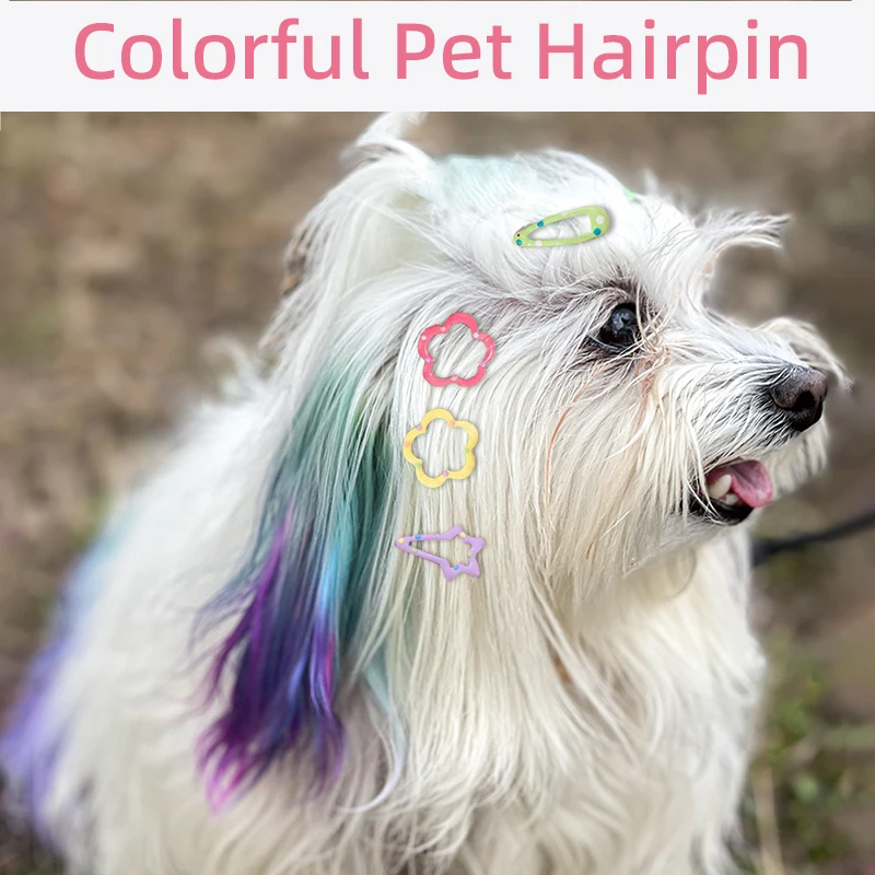 

10pcs Colorful Pet Hairpin Geometric Pattern Flower Shape Dots Clip Cute Mini Pet Hair Clip Dog Lovely Grooming Hair Accessories