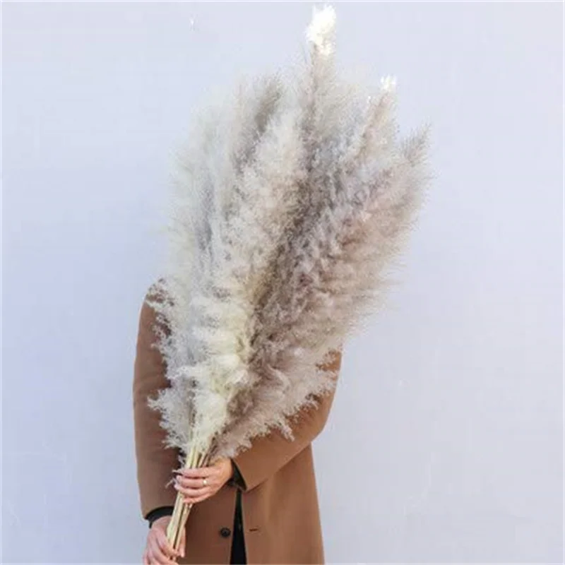 

10PCS 80-120cm Large Pampas Grass Dried Flower Bouquet Flores Arrangement Home Decor Tall Fluffy Living Room Wedding Decoration