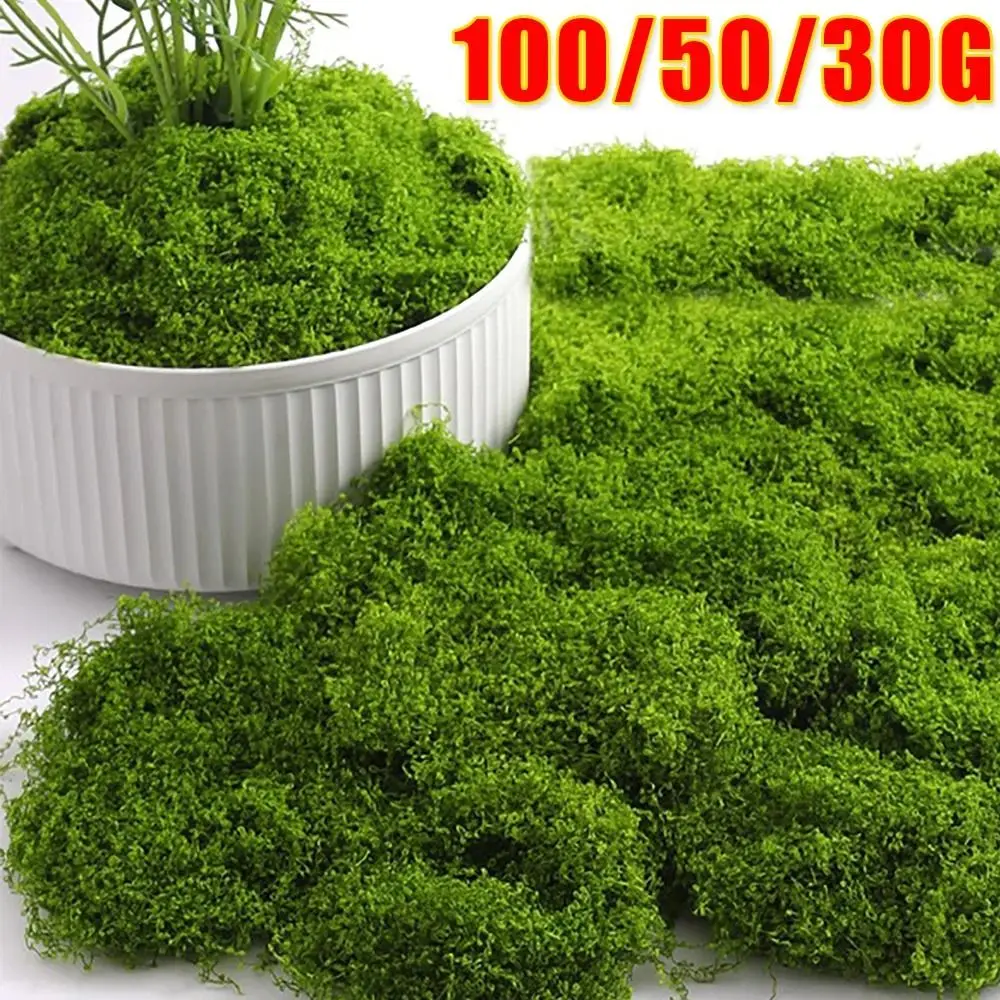 1 Satz für Topfpflanzen Simulation Moos Blumen moos Hausgarten Dekore grünes Moos 30/50g Ornamente Mikro landschaft Kunst gras