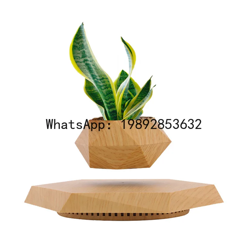 PYJ Maglev Potted Plant Creative Bonsai Crafts New and Strange Home Ornament