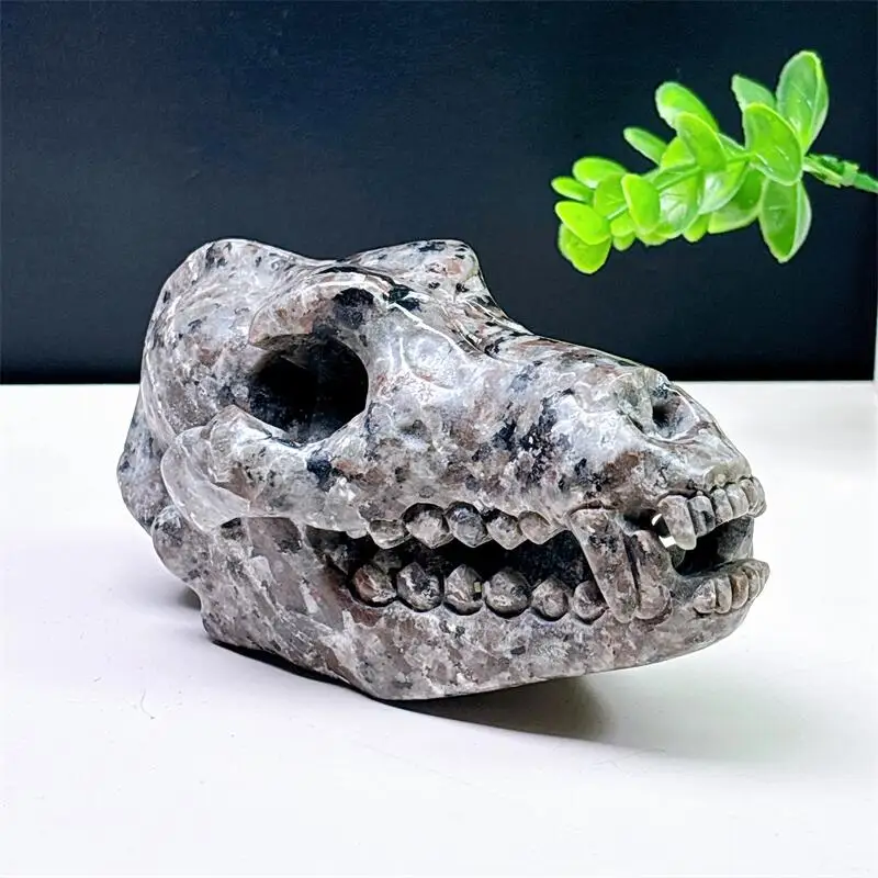 Natural Yooperlite Dinosaur Skull Carving Sculpture Healing Stone Crystal Crafts Home Decoration Ornament 1PCS