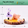 Farmland Pig