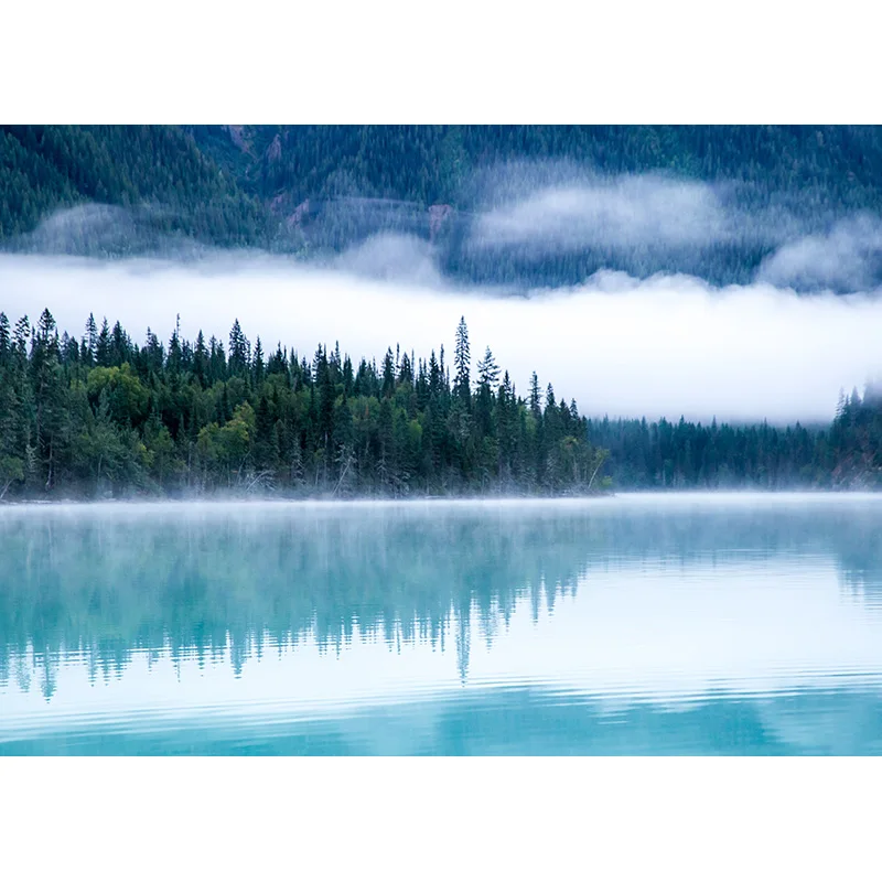Фон для фотосъемки природный пейзаж весенний пейзаж путешествия студийный реквизит 2196 SSL-08