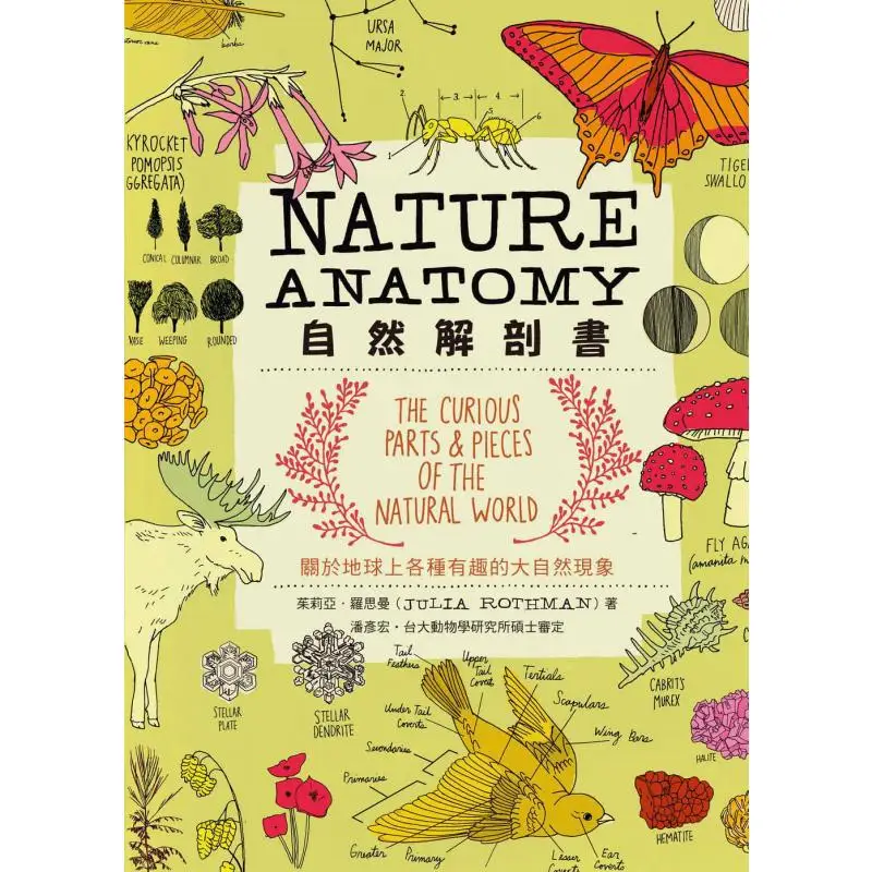 Natural Anatomy Book  About Various Interesting Natural Phenomena On Earth Julia Rothman Yuanliou Publishing 9789573287339 Book