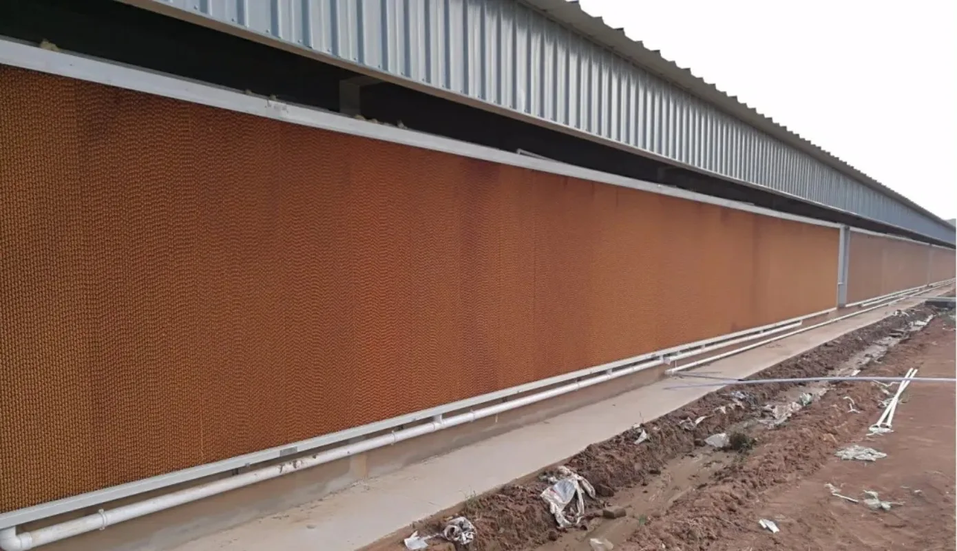 

【Best-selling】High Quality 5090/7090 Poultry Farm Greenhouse Evaporated Water Paper Cooling Pad New Conditions