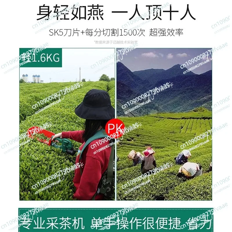 منتقي الشاي الكهربائي بدون فرش، ماكينة تشذيب الفراولة المحمولة بيد واحدة #3