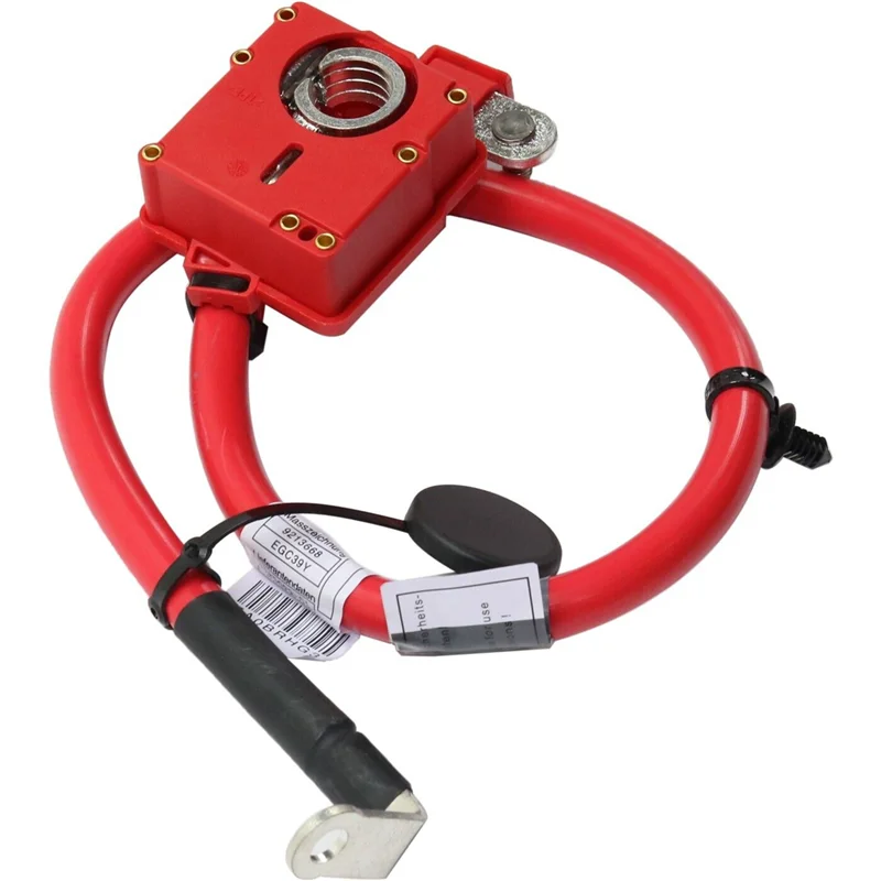 

2X Positive Battery Cable 61129225099 For BMW X3 X4 F25 F26 2009-2017 Battery Leads Protection Wire Cable 61129321005