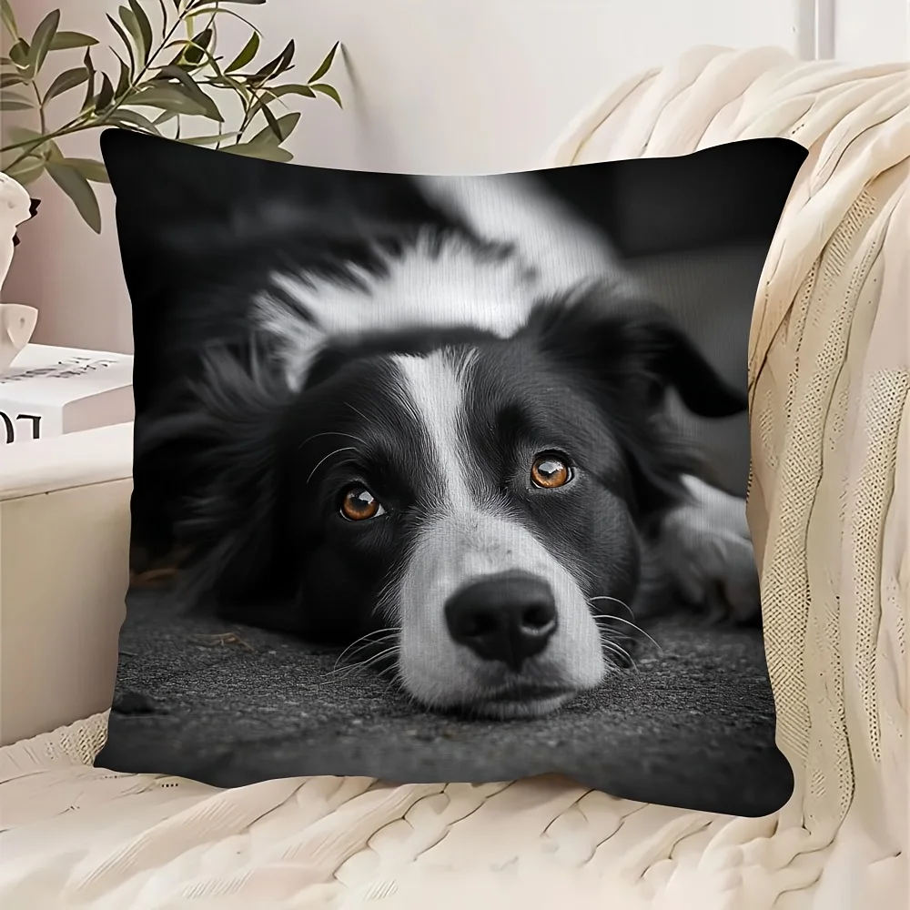 1pc Lying Border Collie Portrait Double‑Sided Print Pillow Cover, Cushion Case for Sofa Bedroom, Insert Not Included, Home Decor
