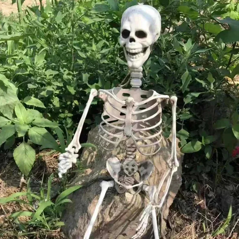 

Movable Skeleton Ornament Toys Skeleton Movable Posable Joints Decoration Full Life Size Human Skeleton Halloween Prop