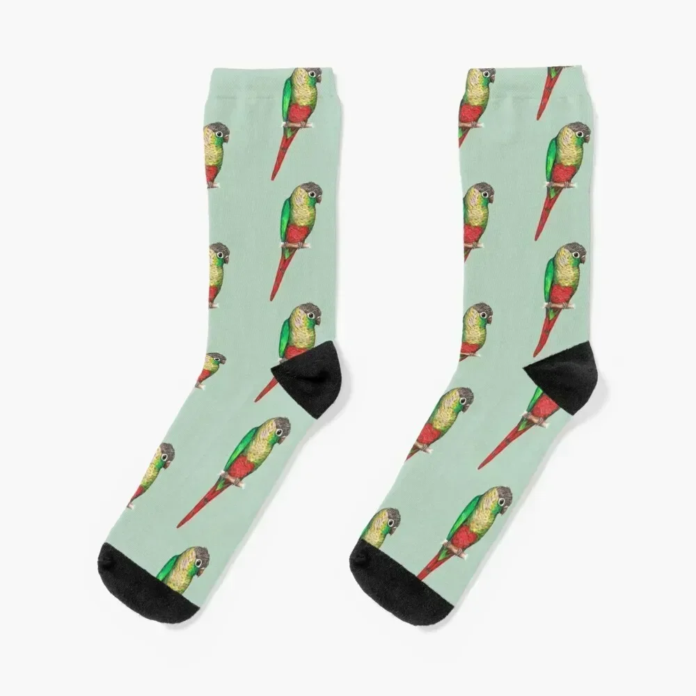 

Conure with a heart on its belly Socks shoes New year's Men's Socks Ladies Men's