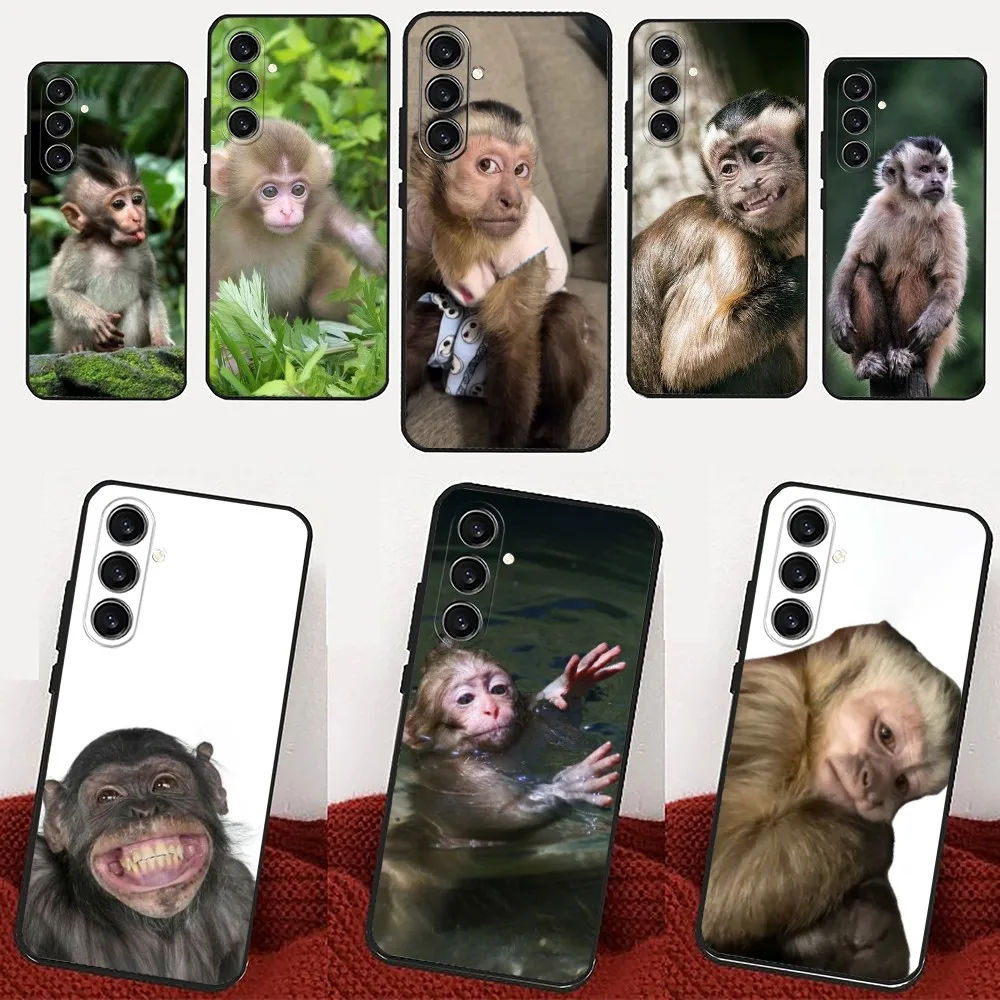 Monkey Sipping Caprisun Meme   Phone Case For Samsung Galaxy A13,21s,22,31,32,52,53,71,80,91 Black Soft Cover