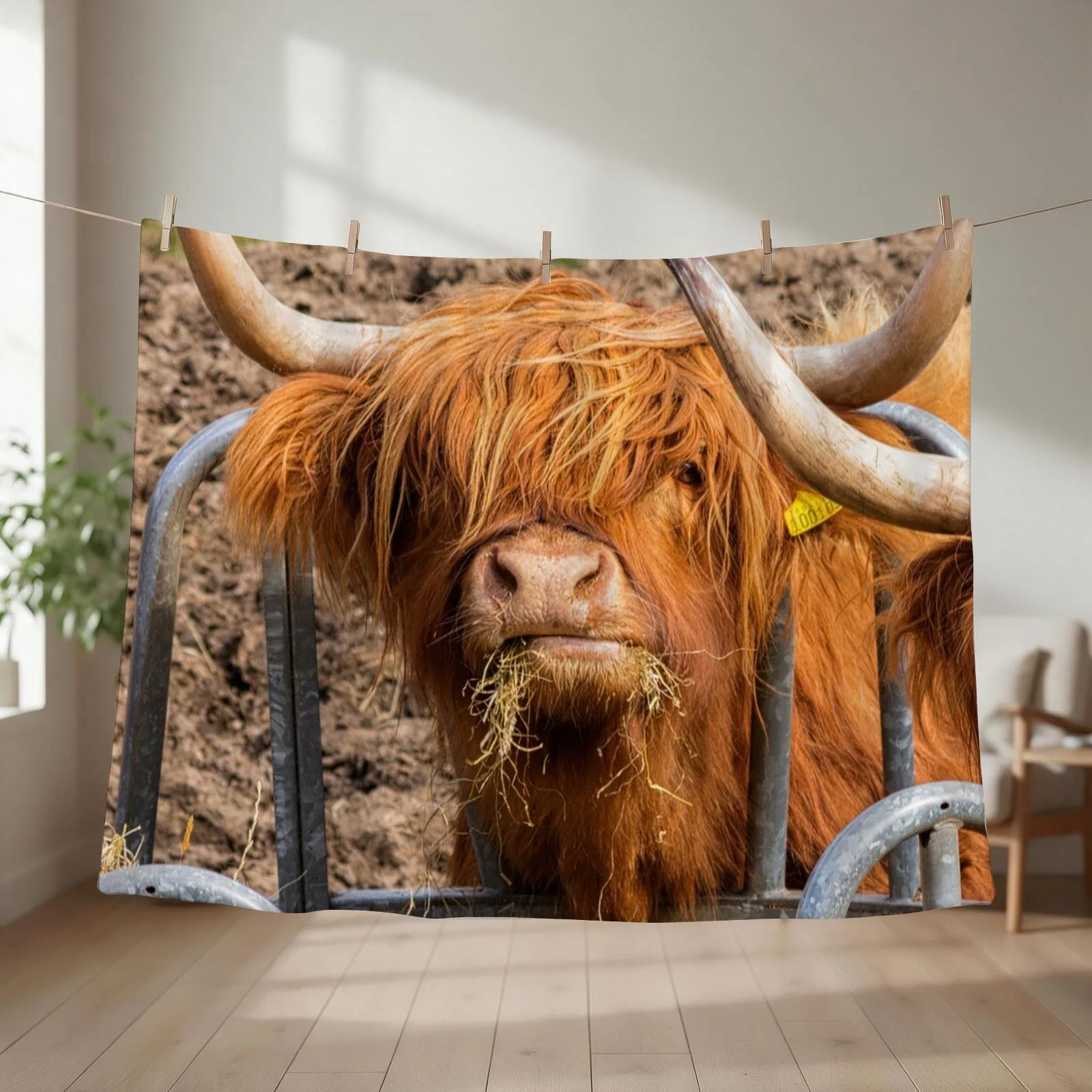 Cute hungry ginger Scottish Highland cow Throw Blanket couch cozy soft plush fuzzy picnic outdoor blanket