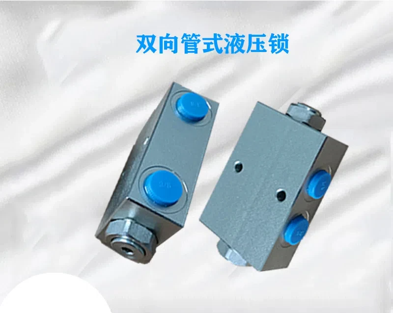 Two-way Pipe Hydraulic Lock Lifting Machinery Excavator Garbage Truck Sanitation Truck Cylinder Hydraulic Lock