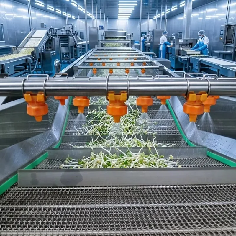 Fruit Vegetable Automatic Washing Drying Equipment Machine Custom