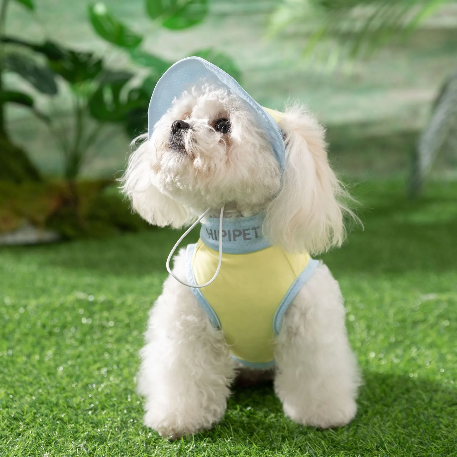 Simple Dog Clothes Small and Medium-sized Dog Sports Vest Teddy Summer Sun Shirt Pet Mesh Short-sleeved With Hat