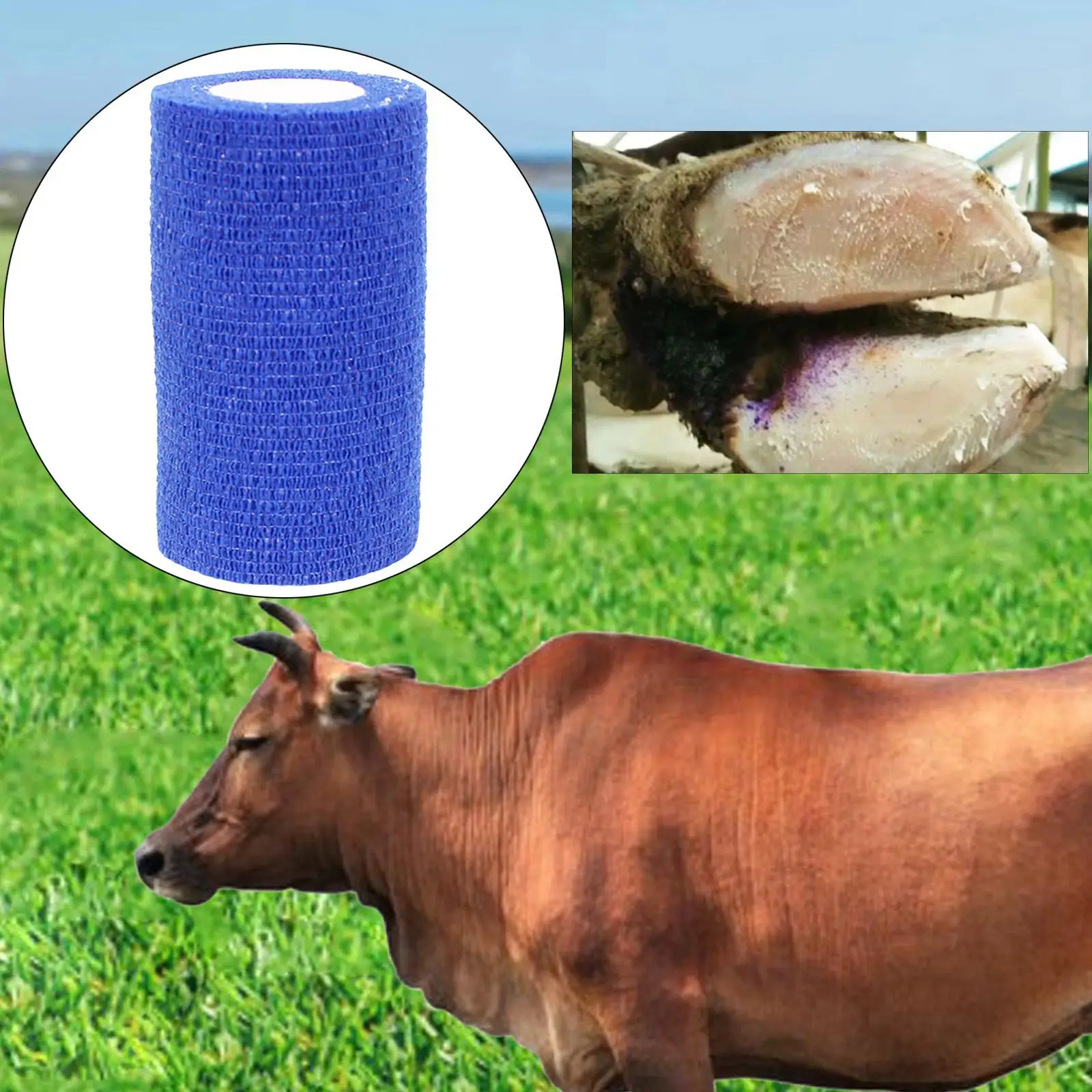 Rolos de gaze Bandagem coesa de primeiros socorros para cavalos de vaca pássaros animais 10x450cm