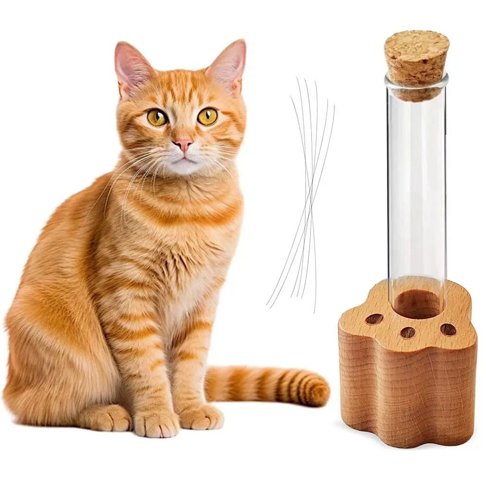 High-quality Wooden Base Cat Hair Holder Transparent Paw Shape Pet Memorial Gift Durable Compact Size Cat Hair Jar Bedside