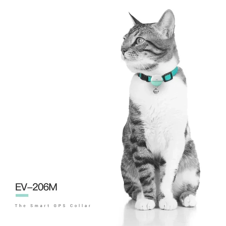 

2025/APP+WEB Monitoring Service Small And Light Dog/Cat Activity Tracking Pet GPS Tracker Animal Tracking Device EV-206