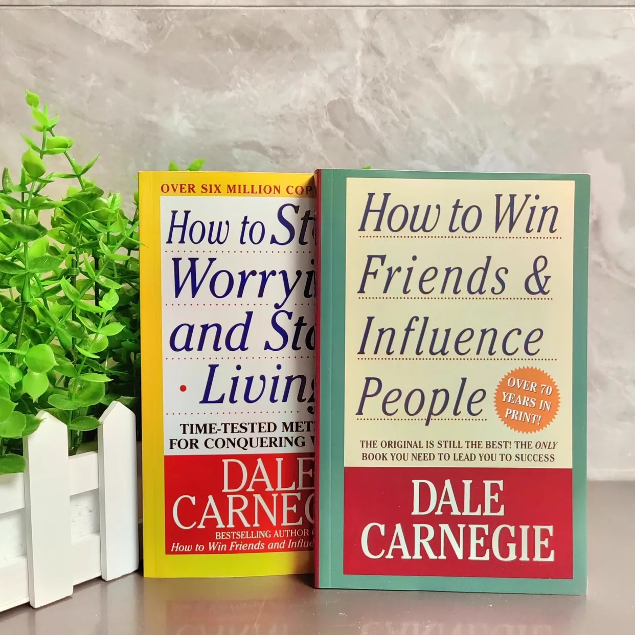 Cómo ganar amigos, influenciar a las personas y cómo dejar de preocuparte y empezar a vivir por Dale Carnegie Libro de lectura en inglés