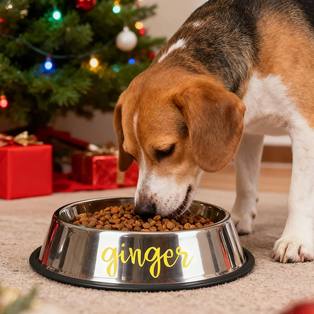 tigela-personalizada-para-caes-aco-inoxidavel-antiderrapante-comida-para-animais-de-estimacao-agua-bebidas-alimentador-para-gato-filhote-de-cachorro-cachorro
