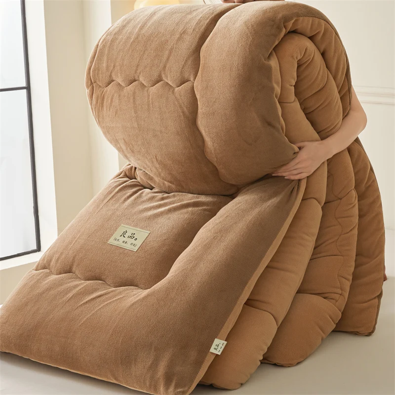 

Thickened Milk Velvet Winter Warm Blanket for Bed Queen Size Soft Flannel Quilt Double-Sided Plush Single Double Thick Comforter