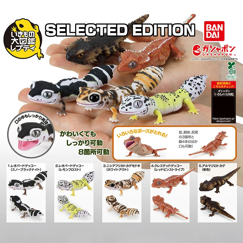 

Original Bandai Gashapon Big Biological Map Gecko Lizard Jianfei Tail Guarding Palace Eyebrow Leopard Lizard Model Gift